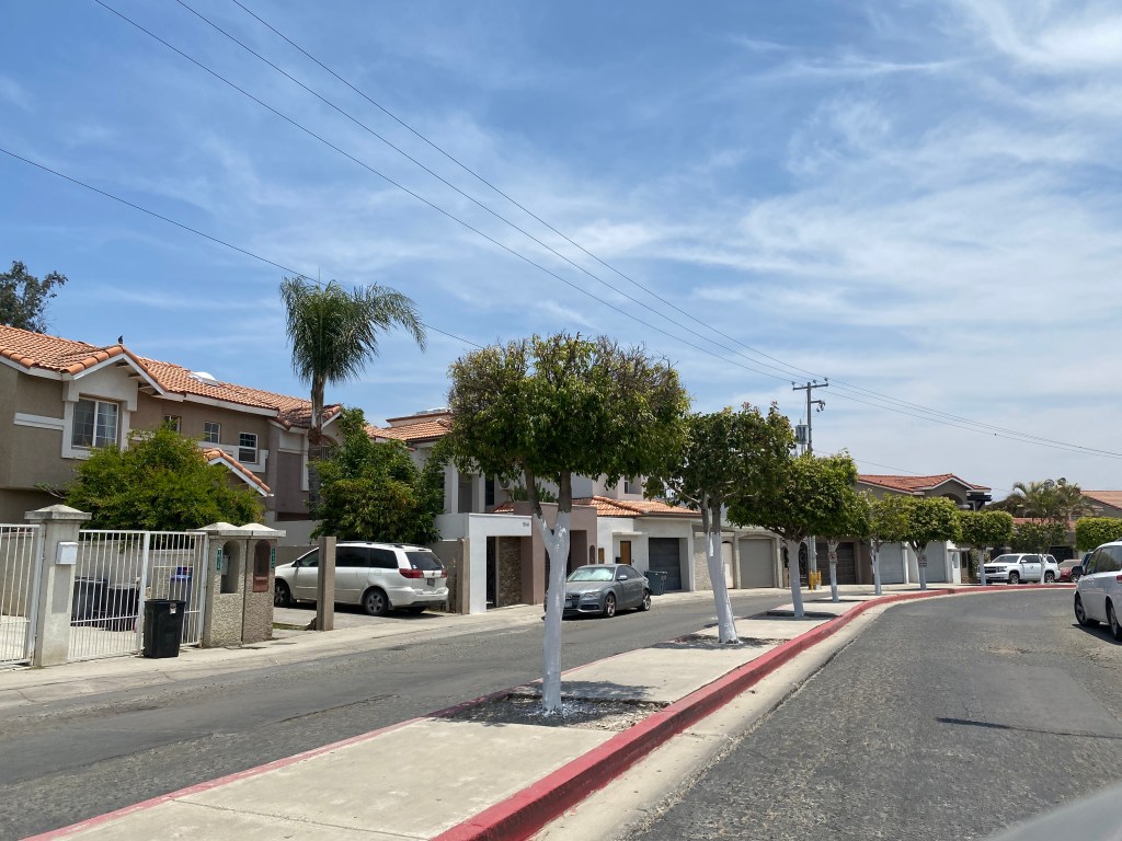 Nuevo Proyecto de Mantenimiento: Embellecimiento de Árboles en la Calle&nbsp;Principal