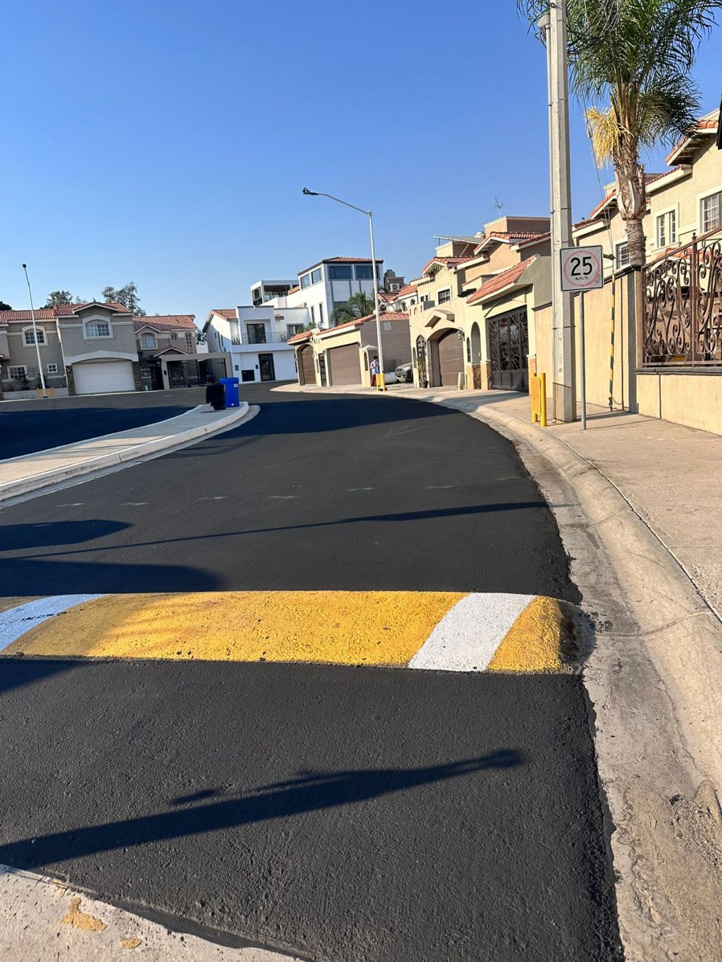 Así Puede Verse Nuestra Calle: Un Ejemplo de Organización&nbsp;Comunitaria